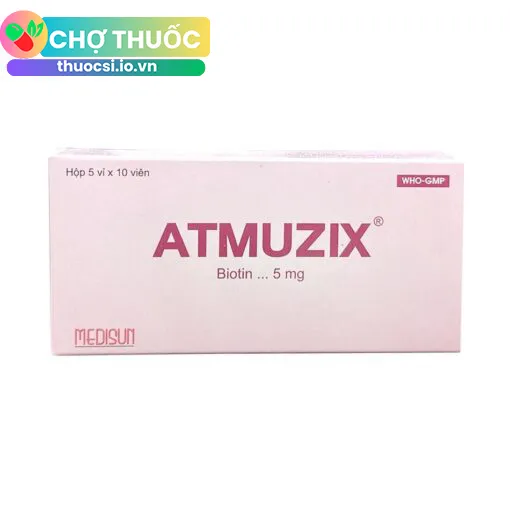 Atmuzix