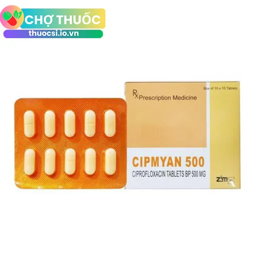 Cipmyan 500