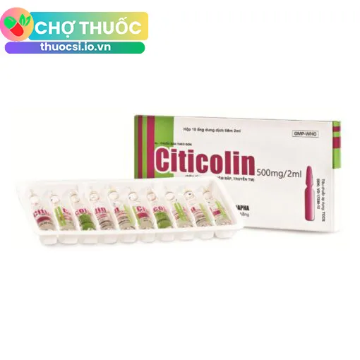 Citicolin 500 mg/2ml Danapha