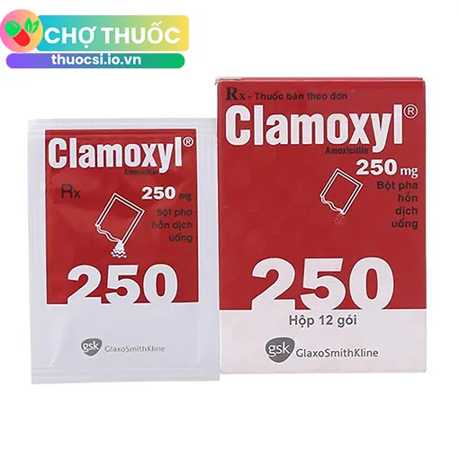Clamoxyl 250mg