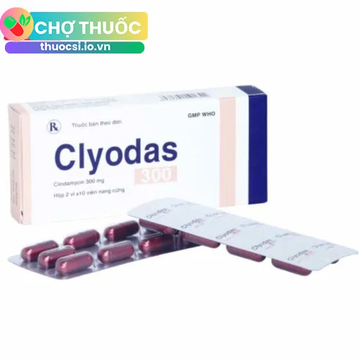 Clyodas 300