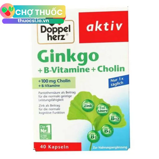 Ginkgo + B-Vitamine + Choline Doppelherz