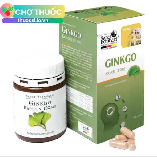 Ginkgo Kapseln 100mg