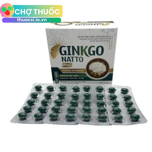 Ginkgo Natto Plus Vinaphar