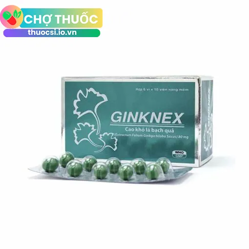 Ginknex