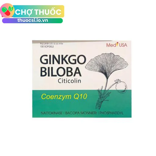 GINKO BILOBA Citicolin Coenzym Q10