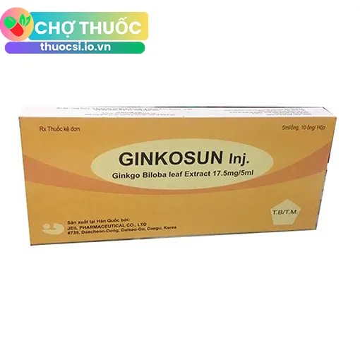 Ginkosun Inj.