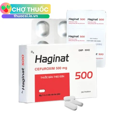 Haginat 500