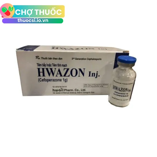 Hwazon Inj. 1g