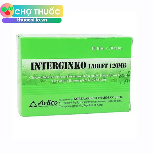 Interginko Tablet 120mg