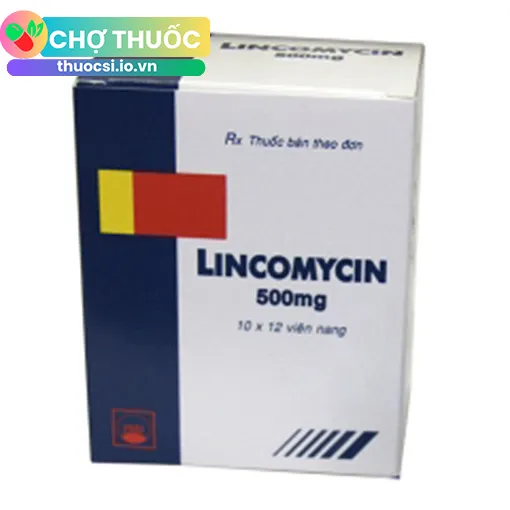Lincomycin 500 mg Pymepharco