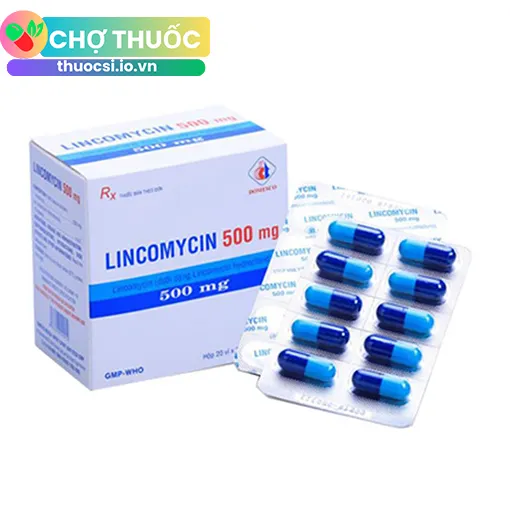 Lincomycin 500mg Domesco