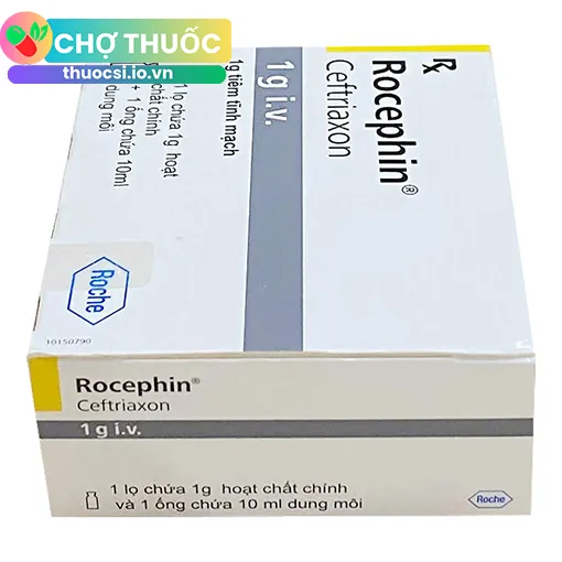 Rocephin 1g I.V